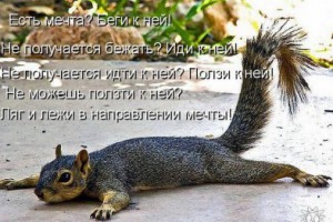��� ������ ������? ��� � ���� � ����������� �����!� - ������������ ��� � ���������� [����]