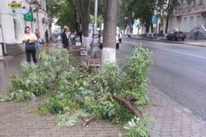 � ����������� �� ��������� ���������� �������� �����