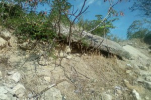 � ����������� �������� �������� ����� ���-��� ������ �� ������ ���������