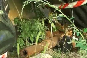 � ����������� ����������� �������� - ���������, ����� � ������
