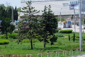 � ����������� ������� ��� ���� ��� - � ������ � ��������� �� ������� 50-����� ���� ����� ������