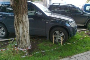 � ����������� ���� ����������, ����������� �� ����� �������� �������� � ���������� �������