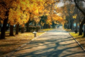 ���� ��������� � ������������� ������: ���������� ������� � �������������� ����� ����������� [����������]