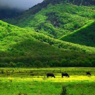 ����� ��������������� ����� ������ ������ ������ �� ������������� �������� � ����� ����������� ������ ��� ����������