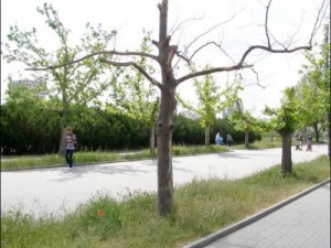 ���������� ����� � ����� ������ ����������� ��������. ������� ����������?