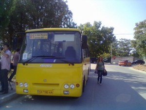 81-� ��������������� ������� �������� �����������-����������� ������ ������