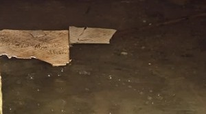 ��������������� ����������� ����� �� �������� � �������� - ��� ������ �� ����