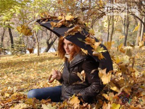 � ����������� ������� ���������� ������� ����������