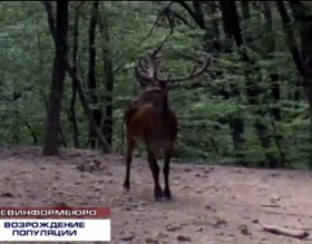 � ����������� � ������ ���� ��� ������ ����� ���� ������������� ������� ��� ����� ��������