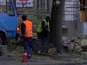 � ����������� �������� ��������� � ������������ �������