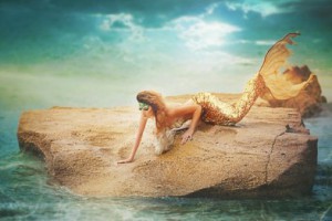 � ����������� ���������, �������� � ��������� ������� �������� ��������