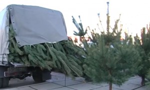 ���� �� 80-400 ������ � ����� � ����������� - ������� ����� ����� ��� � �����������