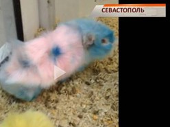 � ��������������� ����������� ��������� ��������, ����� �������� �����������