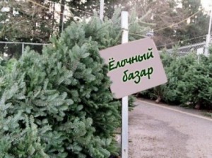 � ����������� ���������� �������� ����������� ����