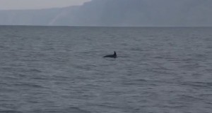 ��������������� ������� ������ ��������� ������� ������ ���� � ���������� [�����]