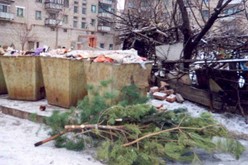 ���� �������� ����������� ���������� ���� � ����� �� ��������� ���� ����������� - �����, �������� ������