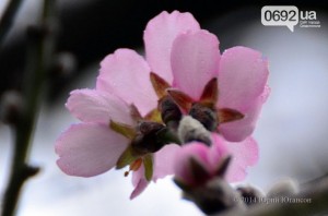 � ����������� ������� ������ ������ ������