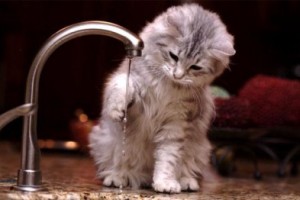 ������������ - � ������: �������������� ����� �������� ���� [������ ����������]