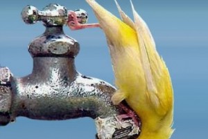 � ����������� ������� ����� �������� ���� [������ ����]