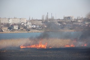 Николаевская область: в течение суток пожарные 5 раз ликвидировали возгорание сухостоя
