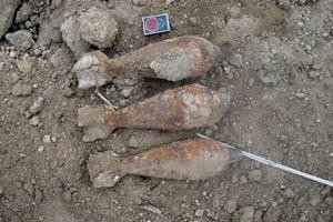 Херсонская область: в лесополосе люди обнаружили 8 боеприпасов времен войны