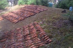 Закарпатская область: продолжается изъятие арсенала боеприпасов времен войны, сейчас уже изъято 305 ВНП
