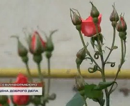 ������ ����� ������ ������