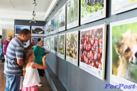 В Севастополе Дню России посвятили самые разные мероприятия