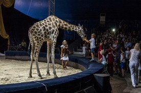 ��� ���� � ���������� ��������� �������. � ����������� ���������� ������ ������������� ������������