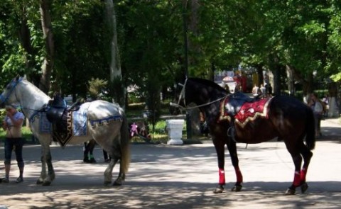 � ����������� �������� ���������� ���������� ������