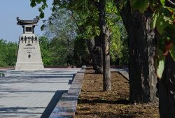 22 ������� � ����������� ���������� ������������ �������� �� ������� �������������� ����������� ��������
