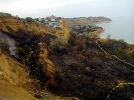 В районе Учкуевки горела трава