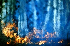 ��� ������������ �������� ������� ����� �� �������� ����������