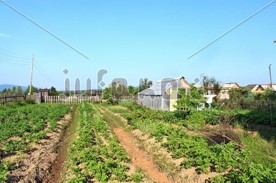 Садоводы Крыма и Севастополя могут лишиться своих участков