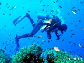 � ����������� ��� ���������� �� ������� ���������� ������