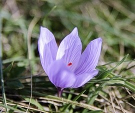 ���� � ����������� ���������� � ������� �������� �������