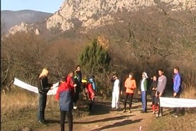 ����������� ������ ������������� ������������ �� ����������� ��������������