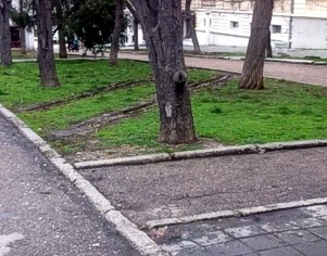 � ����������� �������� ��������� �������� �� ������� � ���������