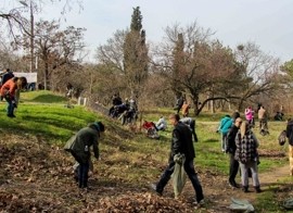�� ����������� ���������� �� Sevsvalki.net ���������� ����� ������