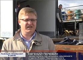 � ����������� ���� �������� ������