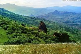 � ����������� ���������� ������� ���� ������������� ����