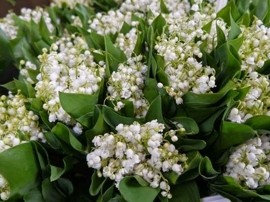 � ����������� ���������� ������� ������ �� ������������� ������