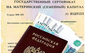 ���������� ���� ����������� ��������� ��������� �� ������� 20 000 ������ �� ������� ������������ ��������