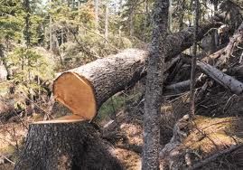 �� �������� ����������� ���� ��� ������������ ������� ���������� "��������� ������������"