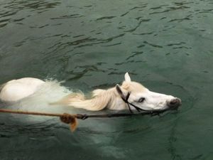 ���� ��� ���� � �����, ��������� ������� � ������� ������ ���� � ��� ����������� ������ ������ ��� �����