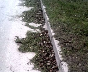 � ����������� �������� ����������� ����� ���� ��������