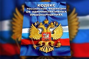 � 1 ������ �� ����������� ��������� ��� ����� ����� ����� �������� � ������� 50%