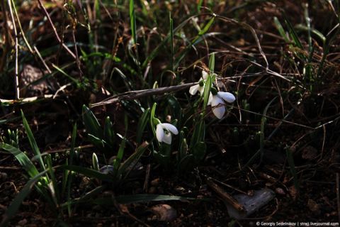 � ����������� ������� ������ ������������ ����� �������� ������ ����� ������� ����