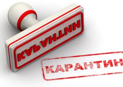 �� ������� ����� � �������� ������ ��������