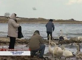 ��� ������ ������ � �����������